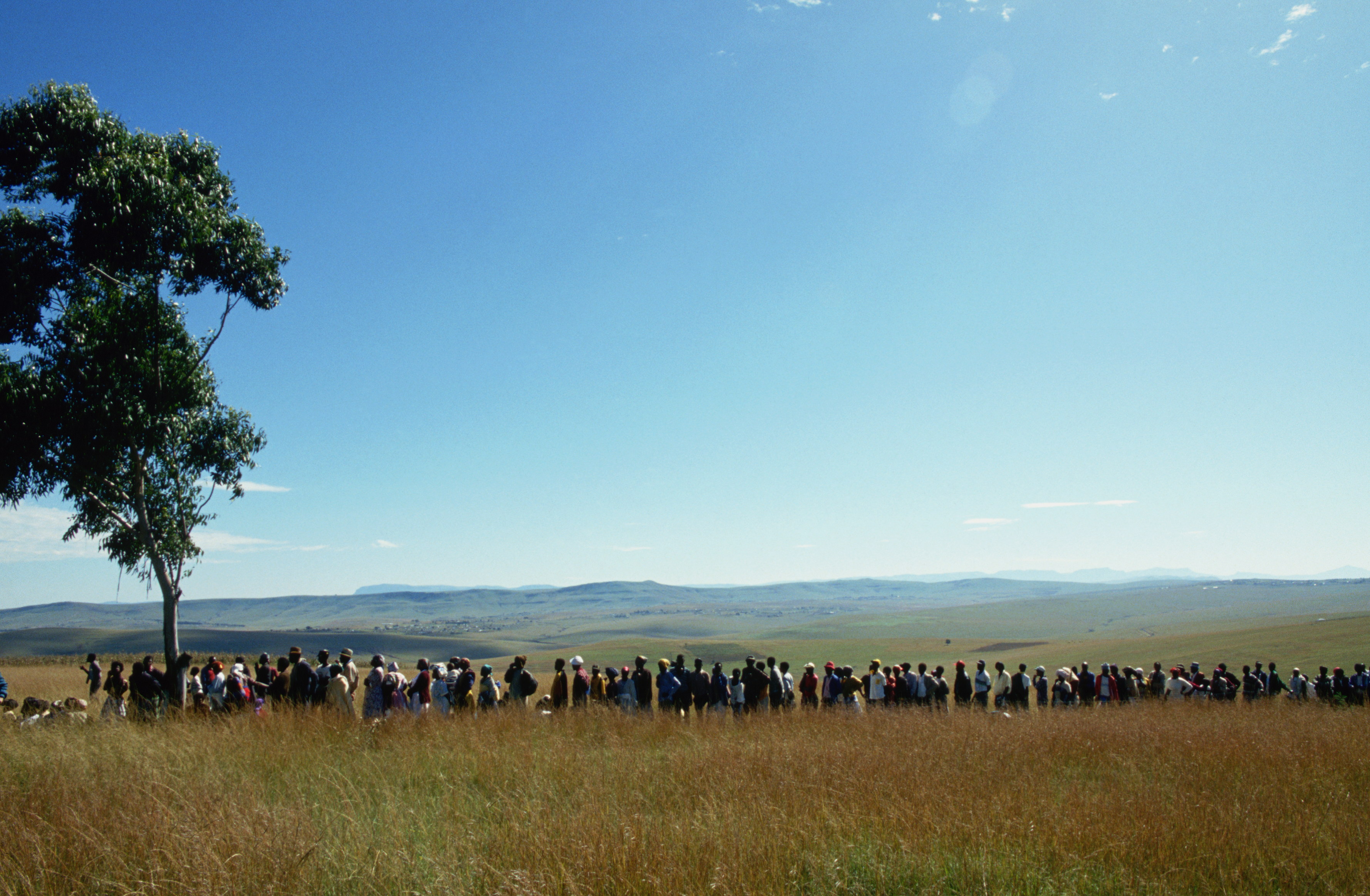 Voters Queue in Transkei, South Africa